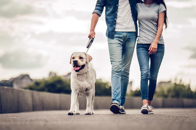 6 Ingredients to Doing Life Better Together